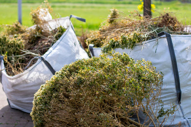 Best Yard Cleanup Services  in Russellton, PA
